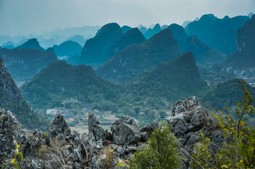 复眼的昆虫有哪些