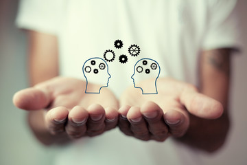 复眼的昆虫有哪些