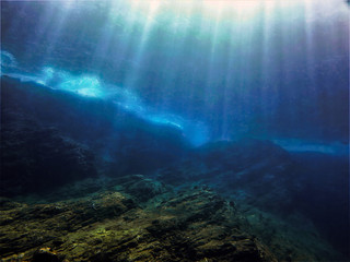 复眼的昆虫有哪些