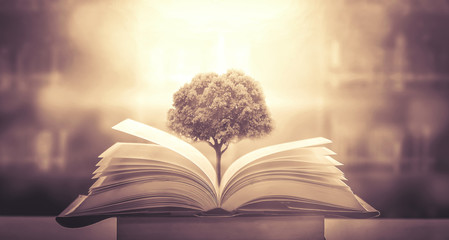 潮汕两日一夜旅游景点介绍 潮汕两天一夜旅游攻略