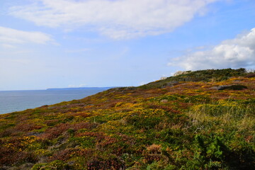 洗面奶套装使用方法