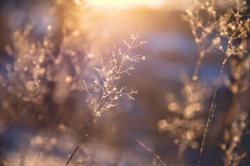 如何挑选合适的基础油