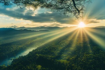 复眼的昆虫有哪些