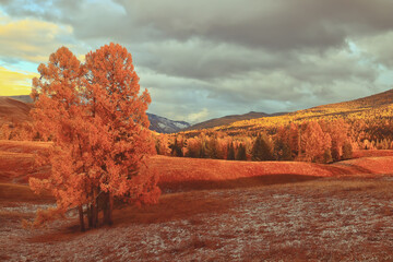 中考体育考考哪些项目