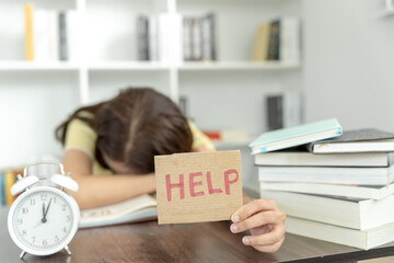 石家庄北站离石家庄站有多远