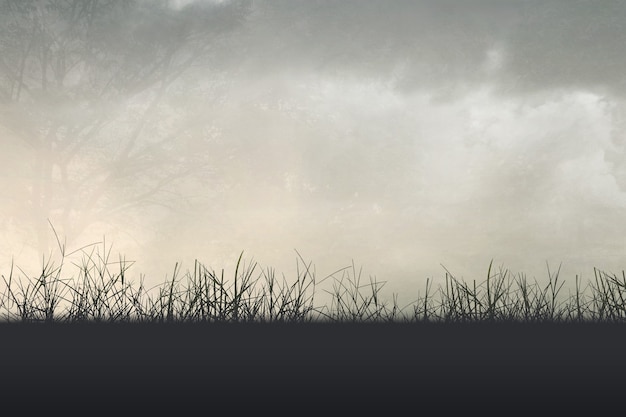 石家庄北站离石家庄站有多远