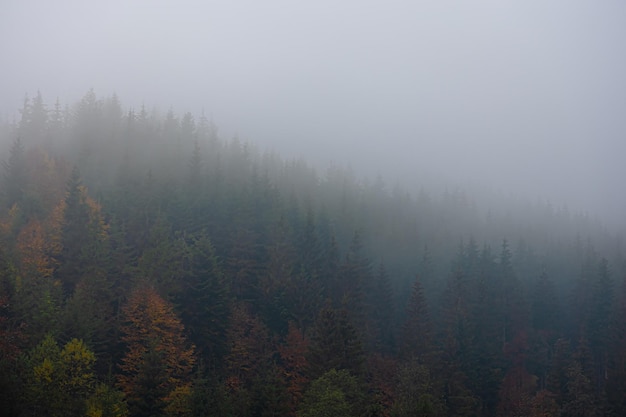 夏威夷的特色介绍