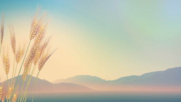 洗面奶套装使用方法