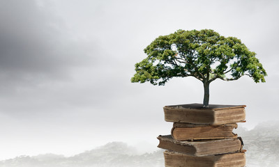 如何挑选合适的基础油