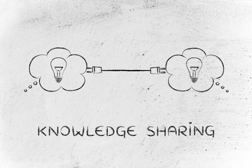 复眼的昆虫有哪些