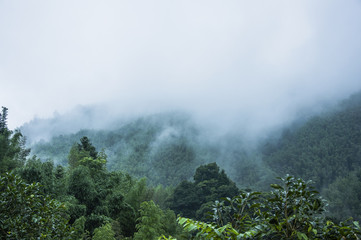 复眼的昆虫有哪些